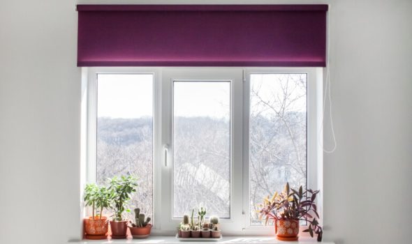 Purple roller blinds installed on a window